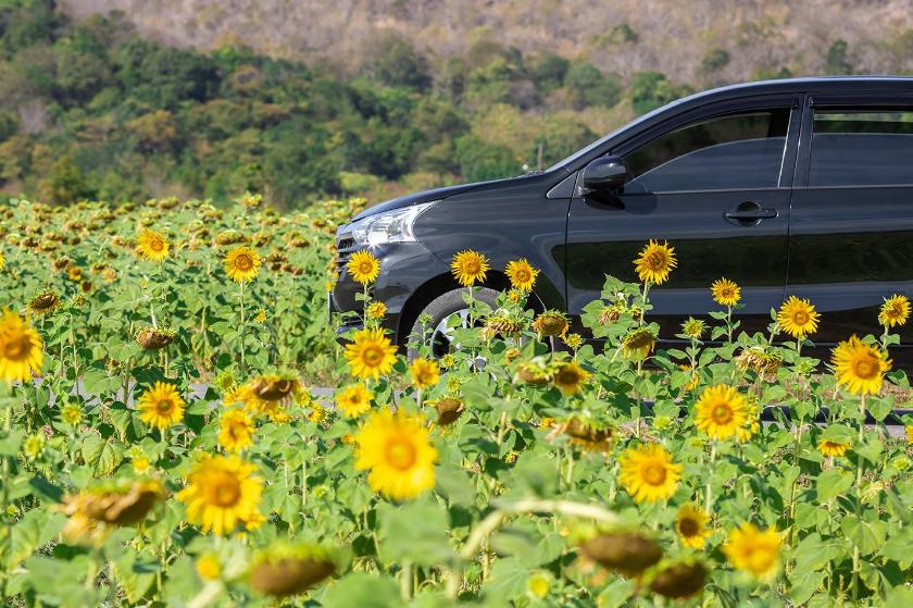 Mantenimiento del coche en primavera