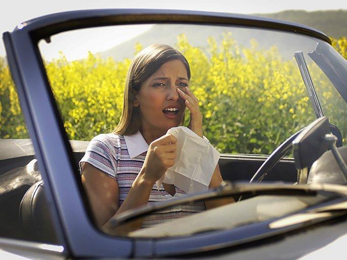 Seis trucos para evitar las alergias al conducir